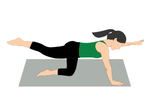 low back exercise beginner